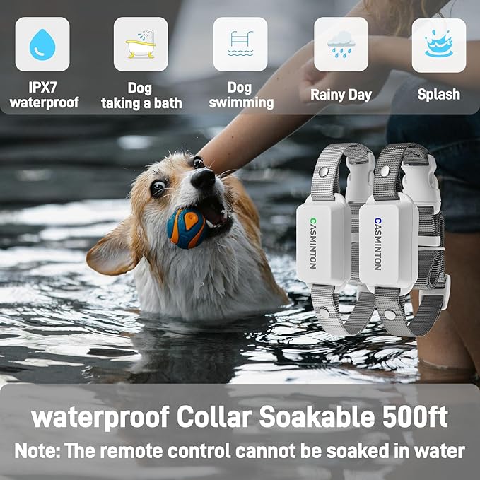 Shock Collar for 2Dogs [CRS01Pro]126 Training Levels, 4 Powerful Modes With 2.8-inch LCD high-definition display100% Safe Training Collar for Large Medium Small Dogs IPX7 Waterproof E Collar
