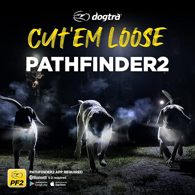 Dogtra Pathfinder 2 GPS Tracker e Collar + Titanium Contact Points 3/4" | 9 Mile, LED Light, No Monthly Fees, Waterproof, Smartwatch Control, Satellite Tracking, Multiple Dogs, Smartphone Required