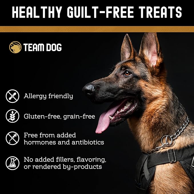 Team Dog Beef Trachea Dog Chews | Single Ingredient Treat | 100% Freeze Dried Beef Gullet Sticks for Dogs | Supports Healthy Teeth & Gums | All Natural Esophagus Dog Treats Made in USA | 3 Per Bag