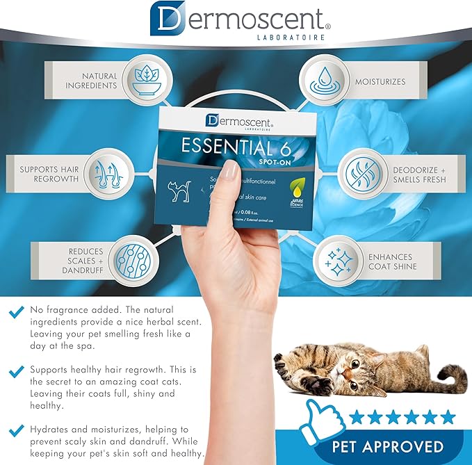 Bayer Dermoscent Essential 6 Spot On Skin Care for Cats Pet Itch Remedies