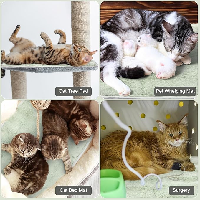 3 Pack Green Self Warming Cat Bed Indoor 16''x24'' Self Heating Cat Mat Ultra Soft Thermal Kitten Bed Heated Pet Dog Pad Washable Removable for Outdoor Use Non Slip Reflect Body Heat