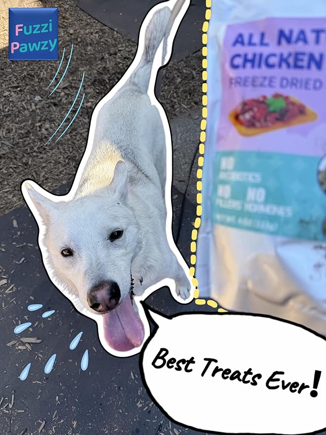 Freeze Dried Egg Yolk Healthy Training Treats Toppers for Pets, Single Fresh Raw Ingredient, Organic, Pure Balance, Natural, Grain Gluten Filler Free, Snacks, Dogs Cats (4oz)