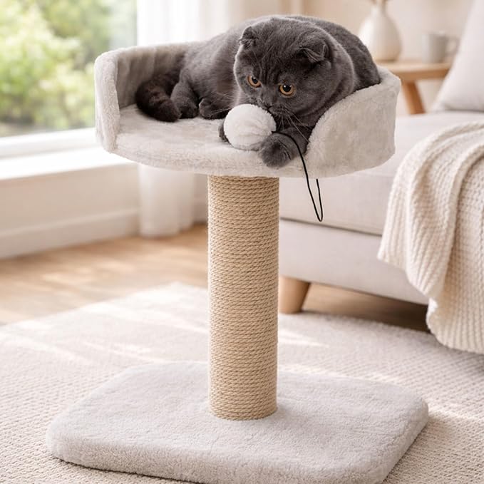 Trixie Mica Cat Scratching Post 18.1 Inch - Cat Scratcher with Soft Fabric Covering Base and Durable Sisal Rope - with Padded Platform & Dangling Cat Toy - in Greige
