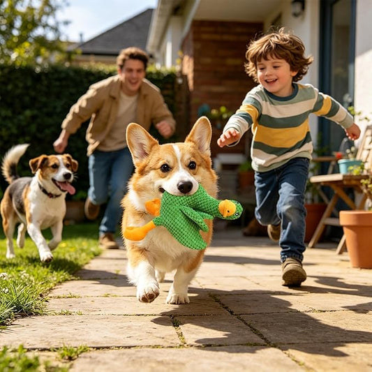 Squeaky Duck Dog Toy - Tough Bite Resistant Plush Animal for Dogs, Interactive Sound Chew Training Tool, Safe Play Companion | Suitable Indoor Home Use, Outdoor Yard Play, Park Activities, Travel Fun