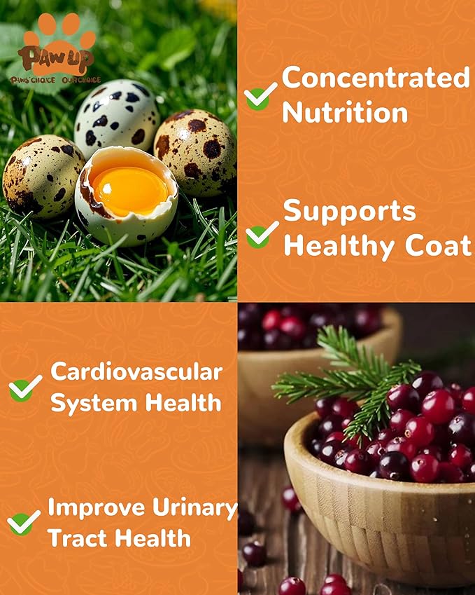 PAWUP Freeze Dried Cat & Dog Treats, Natural Quail Egg Yolk, Rich in Antioxidants Cranberry Added, High-Protein Pet Snacks for Coat & Urinary Health, 3.5 oz
