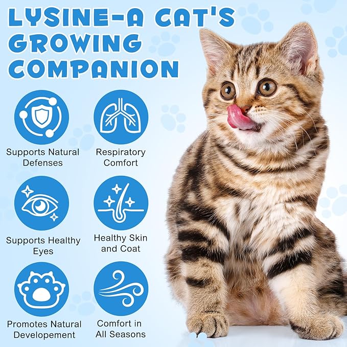 ALIVO L-Lysine for Cats, Immune Support Drops for Cats Feline Respiratory Health, Sneezing & Runny Nose - Pet Liquid Supplement for Eye Function & Cat Cold Relief - Chicken Flavor, 2 fl oz / 60 ml
