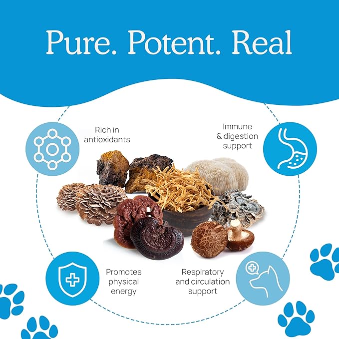 Real Mushrooms Whole Dog Health – Functional Mushroom Blend for Dogs with Lion’s Mane, Cordyceps, Turkey Tail, Reishi, Shiitake for Overall Wellbeing of Dogs – 2.65 oz Powder Supplement