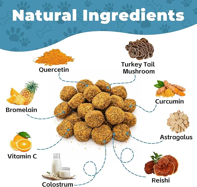 Relief Dog Allergy & Ear Infection — Quercetin for Dogs + Bromelain with Turkey Tail Mushroom & Probiotics — Allergy Medicine for Dogs, Itch, Skin, Hot Spot 120 Chews