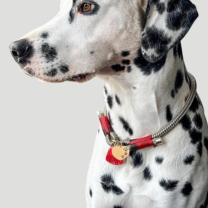 10pcs Heart-Shaped Dog Name Tags Metal Pet Id Tags for Dog Collar Engraving Labels Puppy Identification for Pet Supplies