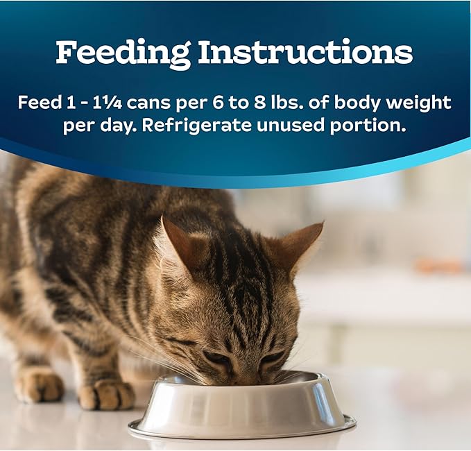Blue Buffalo Tastefuls Wet Cat Food Paté, Made with Natural Ingredients, Turkey and Chicken Entrée, 5.5-oz Cans (24 Count)