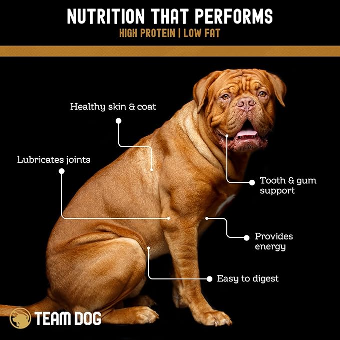 Team Dog Beef Trachea Dog Chews | Single Ingredient Treat | 100% Freeze Dried Beef Gullet Sticks for Dogs | Supports Healthy Teeth & Gums | All Natural Esophagus Dog Treats Made in USA | 3 Per Bag