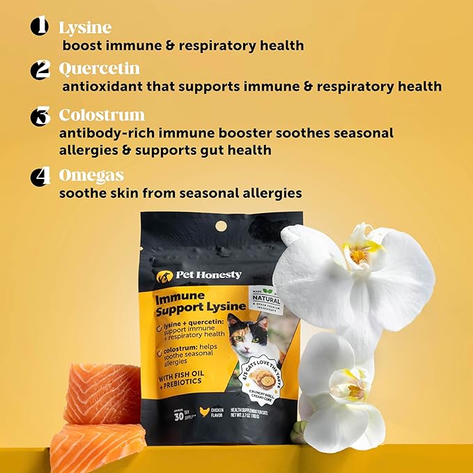Cat Multivitamins + Immune Support Lysine Dual Texture Chew Supplement Bundle - Supports Overall Immune Health, Joints, Skin & Coat, and Cat Allergy Relief - Sneezing, Runny Nose