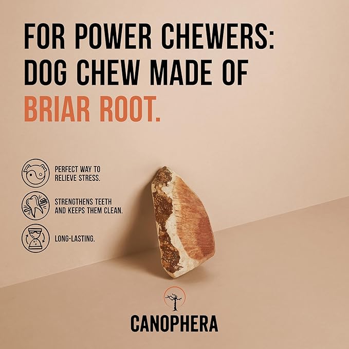 Canophera - Dog Chew Root Made of Briar Wood (Medium)