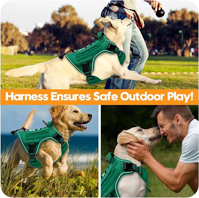 Heavy-Duty Tactical Dog Harness for Large Dogs, No Pull Adjustable Reflective Pet Vest with Molle System, K9 Military-Grade Control for Service Training, Outdoor & 10+ Breeds, Turquoise, XX-Large