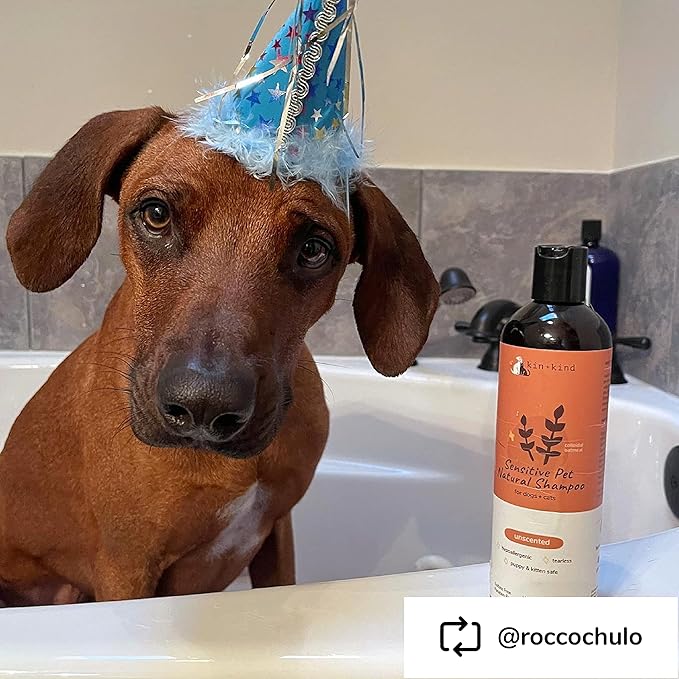 kin+kind Oatmeal Shampoo for Dogs & Cats – Natural Anti Itch Pet Shampoo for Sensitive Skin with Colloidal Oatmeal, Coconut Oil & Olive Oil – Moisturizing Oatmeal Bath for Dry, Itchy Skin – 12 fl oz