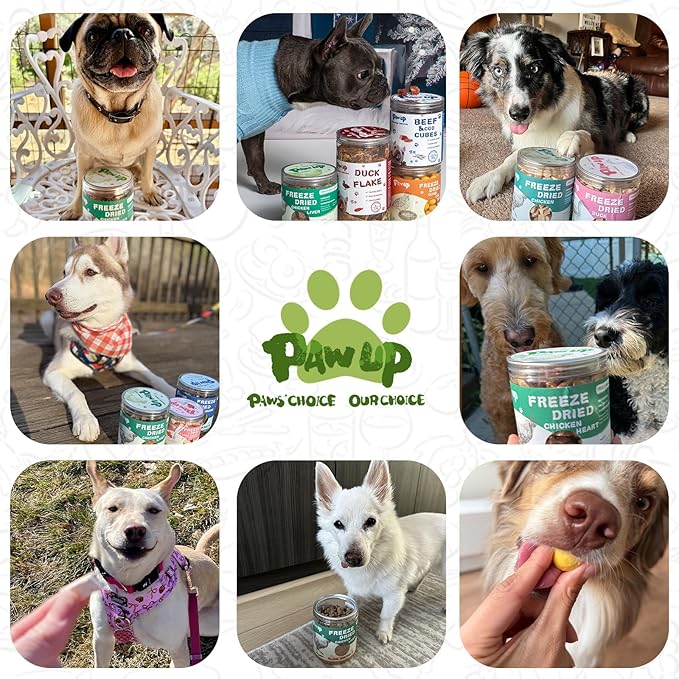 PAWUP Freeze-Dried Dog Treats, Single Ingredient Chicken Breast, High Protein Natural Healthy Treat for Medium & Large Dogs, 3.8 oz