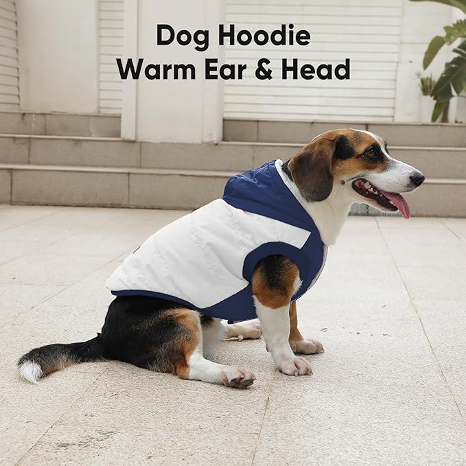 Fleece Lining Extra Warm Dog Hoodie in Winter,Small Dog Jacket Puppy Coats with Hooded,Beige and Blue XS