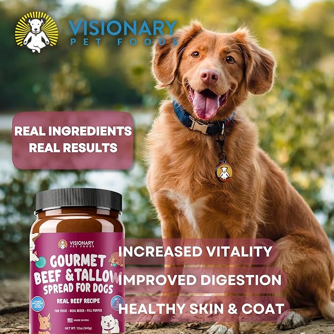 Visionary Pet Foods Beef Meat Spread, Dog Safe and Natural Peanut Butter Alternative - Healthy Digestive Support, No Additives - Lick Mat Treats - 12oz Jar