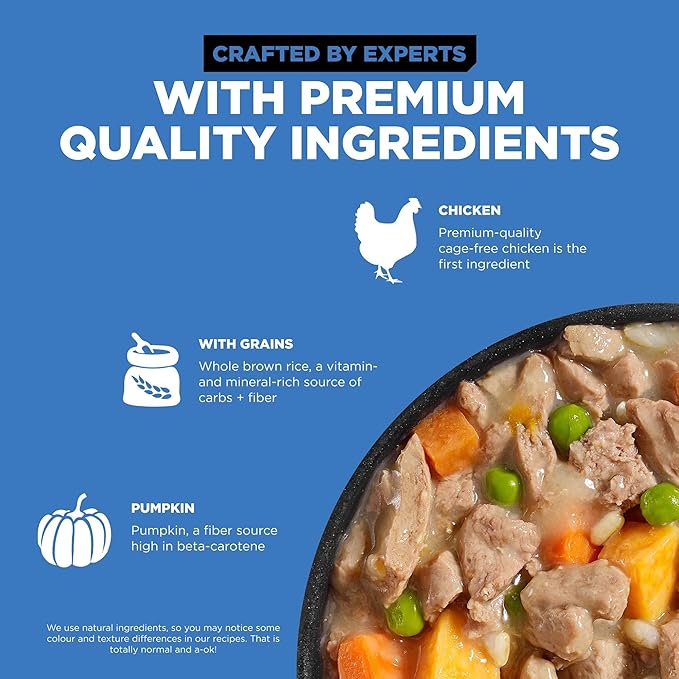 Go! Solutions Skin + Coat Care, Wet Dog Food, Shredded Chicken Recipe with Grains for Sensitive Skin, 12.5 oz (Pack of 12)