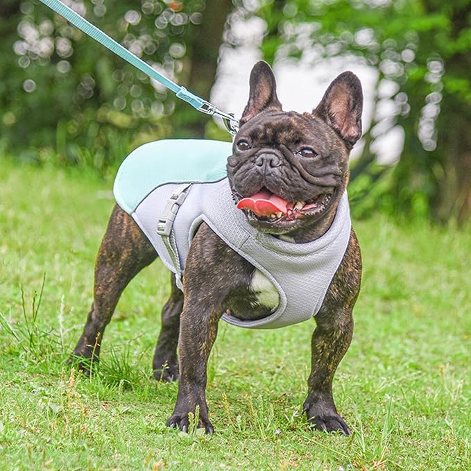 Dog Cooling Clothes Pet Vest Breath-able Mesh Fast-Dry with Reflective Strip Dogs Supply Mesh Fabric Clothing Lightweight for Dogs