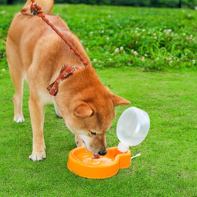 Pet Dogs Water Bottle Portable Outdoor Large Capacity Feeder Travel 500ml Dispenser Drinking Supplies Dog Dispenser Portable Cup for Dog Bowl with