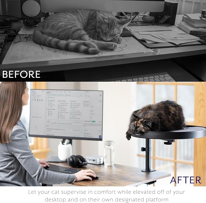 Life Finds Clamp-on Round Cat Bed for Home Office Desk, Height Adjustable Circular Kitty Perch with Full Rotation, Holds 44 lbs, Black, LF-CCB1