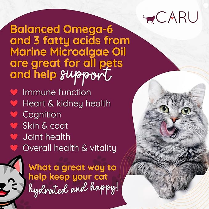Caru - Classics Wild Pollock & Turkey Stew for Cats - Healthy Functional Wet Cat Food or Food Topper - Balanced Omega Blend - 5.5 oz Cartons - Pack of 4