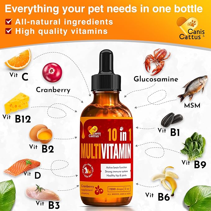 Cat Vitamins for Indoor Cats for Breathing & Digestion | Liquid Multivitamin for Dogs as Bladder Control Supplements | Dog Vitamins to Support Joints, Eyes, Skin & Coat | 2 Oz