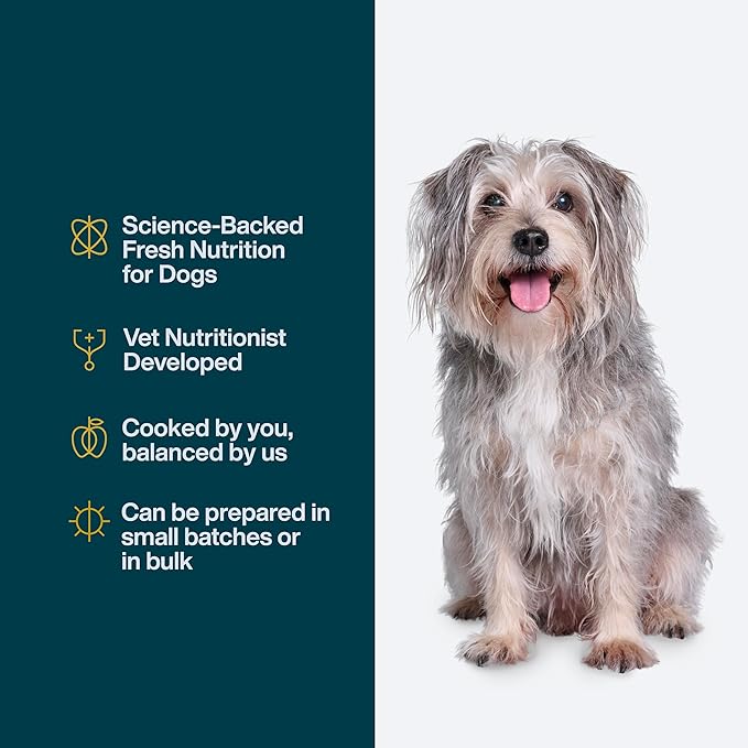 Just Food for Dogs Nutrient Blend, Vitamins and Supplements for Homemade Dog Food, Chicken and Rice, DIY Fresh Pet Meals and Toppers, Human Grade Quality, Dog Multivitamin Additive, 4.55oz