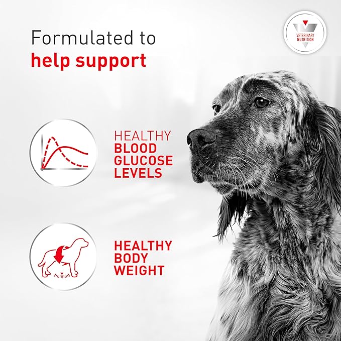 Royal Canin Veterinary Diet Glycobalance Dry Dog Food for Diabetic Adult Dogs, 6.6 lb Bag