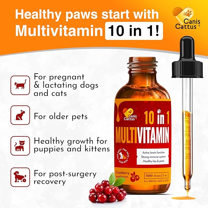 Cat Vitamins for Indoor Cats for Breathing & Digestion | Liquid Multivitamin for Dogs as Bladder Control Supplements | Dog Vitamins to Support Joints, Eyes, Skin & Coat | 2 Oz