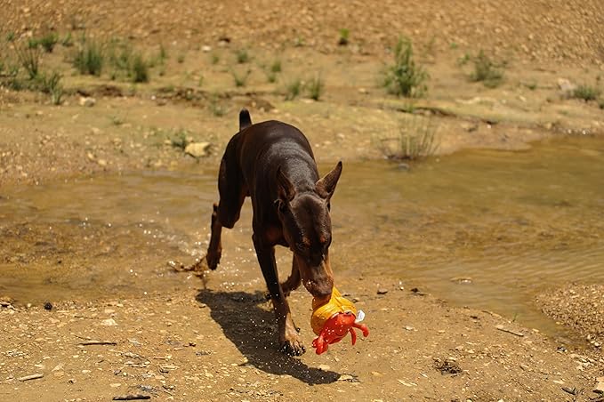 Dog Toy, Squeaky Plush Dog Toy, Rough & Tough Interactive Pet Toy, Recycled Fabric and Double Stitched (Pagurian)