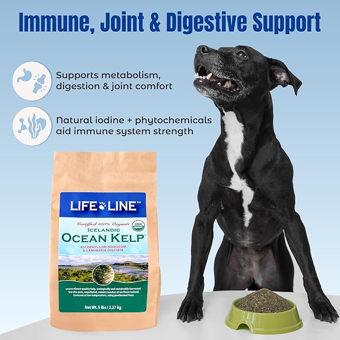 Life Line Certified Organic Ocean Kelp Supplement for Dogs, Cats & Horses | Boosts Coat Health, Reduces Shedding, Fights Plaque & Tartar, Supports Digestion, USDA certified - 5 lb