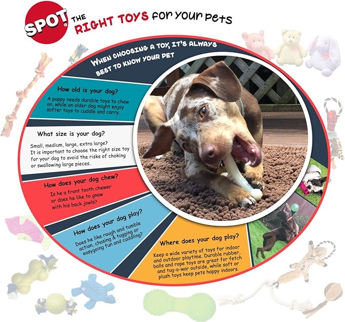 SPOT Play Strong Ball - Durable TPR Ball, Long Lasting Dog Toy for Aggressive Chewers, Hollow Center to Hide Treats, Virtually Indestructible Dog Toy for Dogs & Puppies up to 60lbs - 3.25 inch