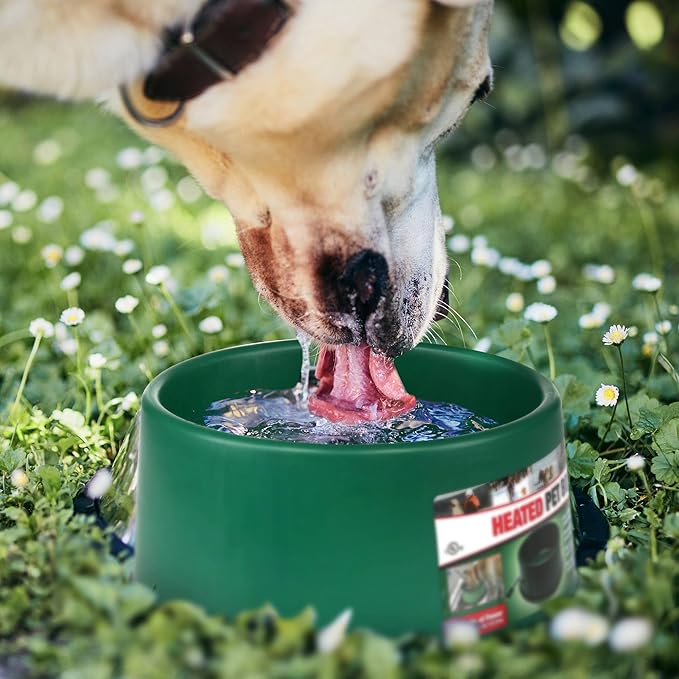 Farm Innovators P-60 1.5 Gallon 60 Watt Heated Pet Water Bowl, Thermostatic Control & Anti Chew Cord, Green (4 Pack)