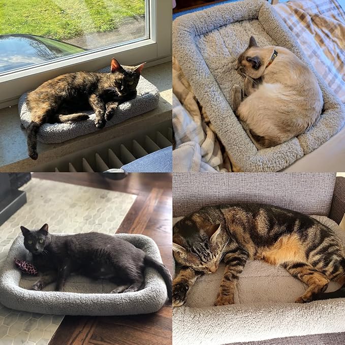 LESYPET Cat Bed for Indoor Cats, Soft Cat Cushion with Cat Pillow Around, Rectangle Kitten Pad Small Bed for Window Sill, 22'' x 16''