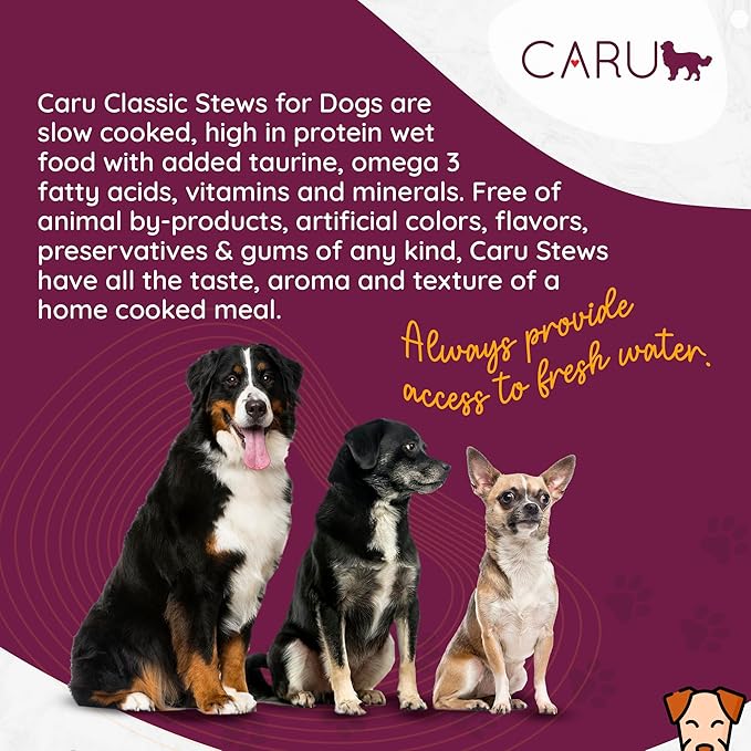 Caru - Classics Turkey with Lamb Stew for Dogs - Healthy Wet Dog Food or Food Topper - 12 oz Cartons - Pack of 4