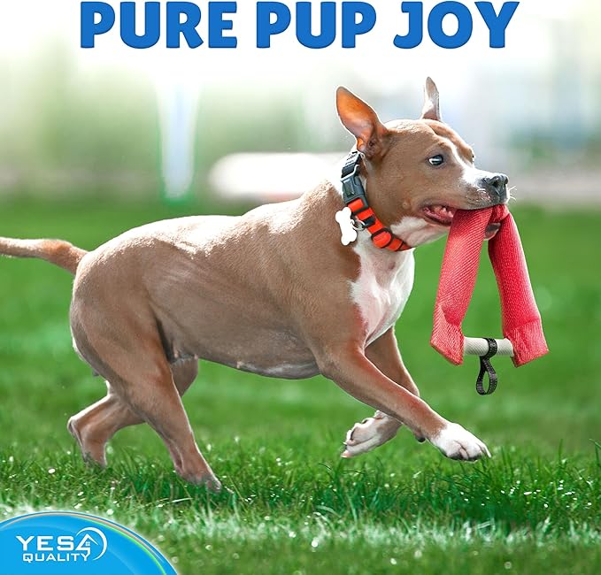 YES4QUALITY Dog Toy - Tug of War for Dogs - Horseshoe Shape Pull and Play Toy for 2 Dogs - 10x11 Inch, Fun Fuchsia - Durable Training and Exercise Equipment for Medium to Large Breeds