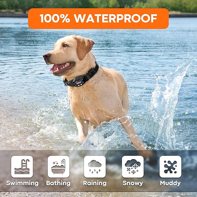 GPS Wireless Dog Fence System: Electric Fence for Dog with 4-Zone Progressive Correction & 3 Modes, 55-6000ft Adjustable Range, Waterproof Rechargeable GPS Dog Collar for Medium Large Dogs Outdoor Use