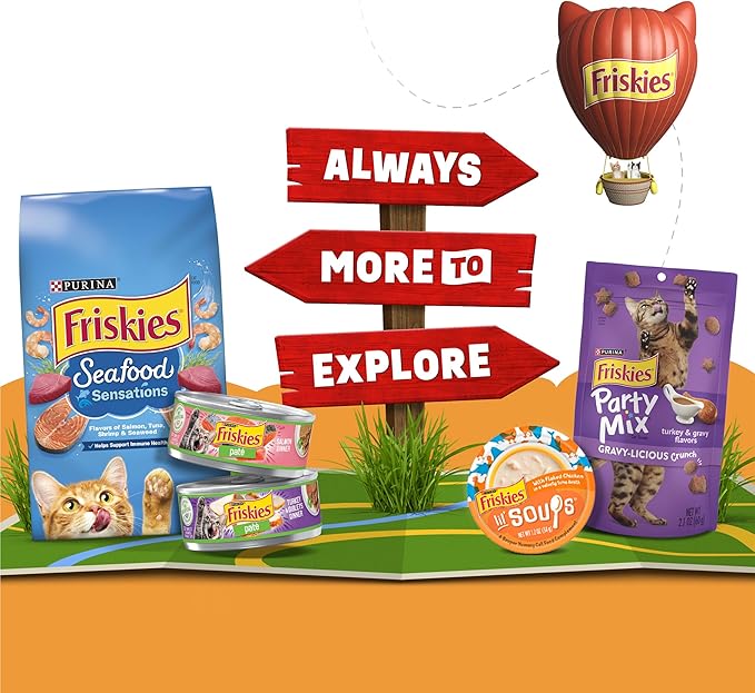 Friskies Purina Natural,Grain Free Wet Cat Food Lickable Cat Treats,Lil' Soups Flaked Chicken - 1.2 oz. Tubs,(Pack of 16)