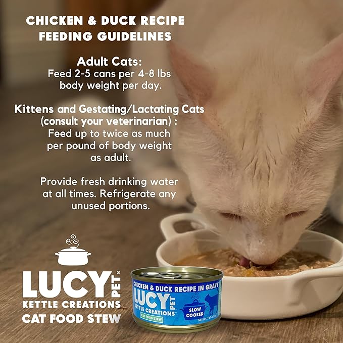 Lucy Pet Products Kettle Creations Chicken and Duck Cat Stew Recipe in Gravy 2.47oz, Blue (LPPFFLW400), Pack of 12