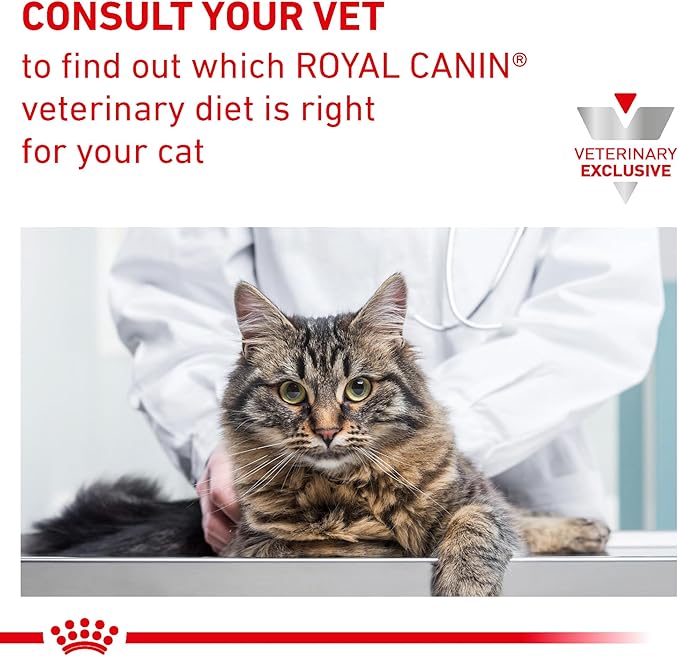 Royal Canin Veterinary Diet Feline Renal Support T Adult Thin Slices in Gravy Cat Food, 3 oz (Pack of 6)