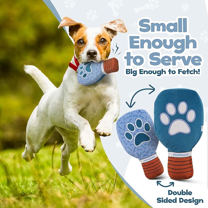 Pickleball Dog Toy – Valentines Day& Birthday Dog Toy Present & Pickleball Gift, Plush Pickle Ball Paddle with Interactive Squeaker & Crinkle, Funny Puppy Gift