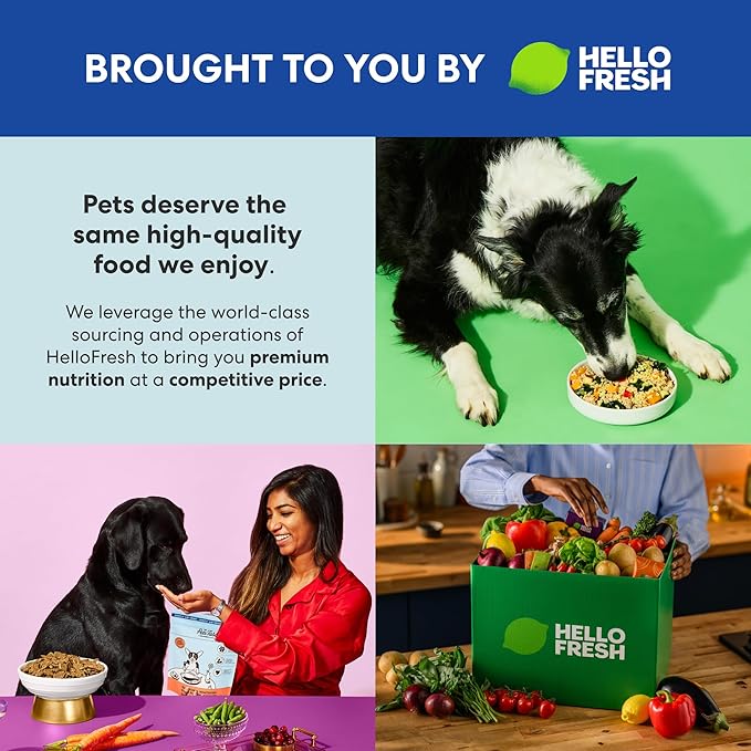 The Pets Table Lamb & Beef with Brown Rice Air Dried Dog Food, 1lb / 16 oz Bag
