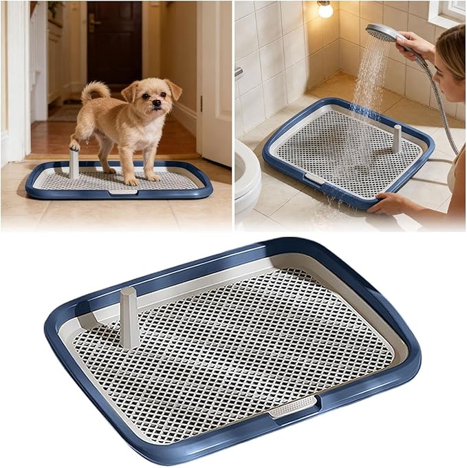 Dog Potty Tray with Guide Pillar, Indoor Pet Pee Pad Holder Duty, Removable Washable Puppy Training Toilet for Housebreaking Supplies Small Medium Dogs (Blue-L)