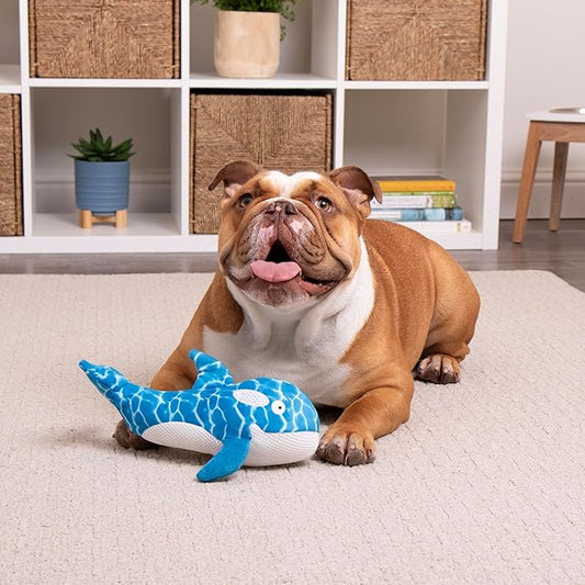 TrustyPup Strong 'N Silent Swimmer Soft Plush Orca Squeaker Chew Guard Dog Toy - Blue, Large