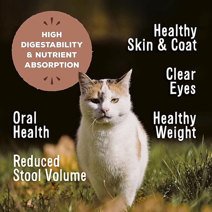 Primal Freeze Dried Raw Cat Food Nuggets Chicken & Salmon, Complete & Balanced Meal or Topper, Premium, Healthy, Grain Free, High Protein Raw Cat Food with Probiotics (14 oz)