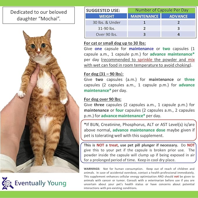 𝗘𝘃𝗲𝗻𝘁𝘂𝗮𝗹𝗹𝘆 𝗬𝗼𝘂𝗻𝗴 12-in-1 CKD Kidney & Liver Support Restore for Cats & Dogs: Advanced Phosphate Binder w/NMN, Fisetin, Antioxidants, Prebiotic & Probiotic (30 Caps)