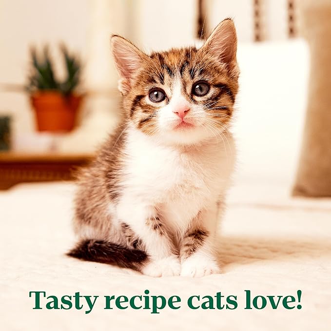 Nutro Perfect Portions Wet Kitten Food Pate Whitefish and Salmon Recipe, Pate Wet Cat Food, 2.6 oz. Twin-Pack Trays, 24 Count, 48 Servings