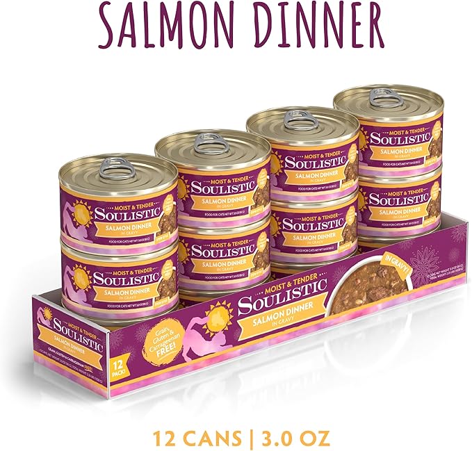 Soulistic Moist and Tender, Salmon Dinner in Gravy, 3oz Can, Pack of 12